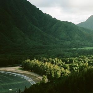 Meet your Posher, Johnna